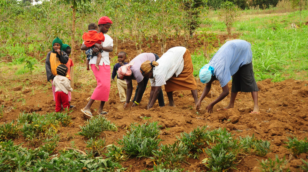Gender Equality and Empowering Women and Girls