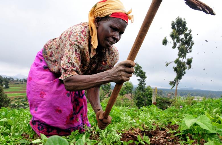 Livelihoods and Economic Empowerment